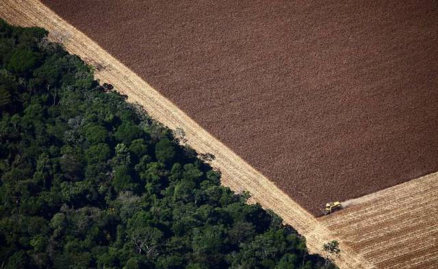亚马孙雨林的奇幻时间·气球碎片的魔力 亚马孙雨林的奇幻时间·气球碎片的魔力