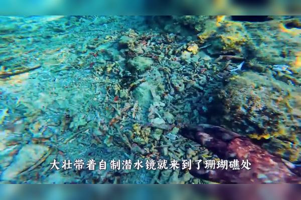 大洋洲荒芜应龙｜一个被遗忘的传说，还是现实的重演？