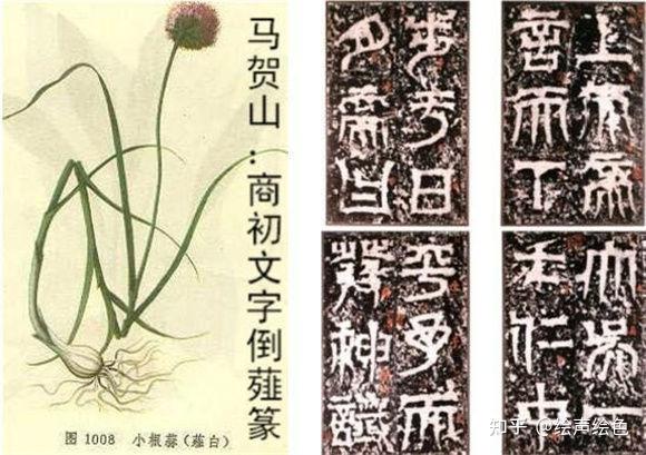 沙漠中的神秘书写·反向的回声与时间的低语