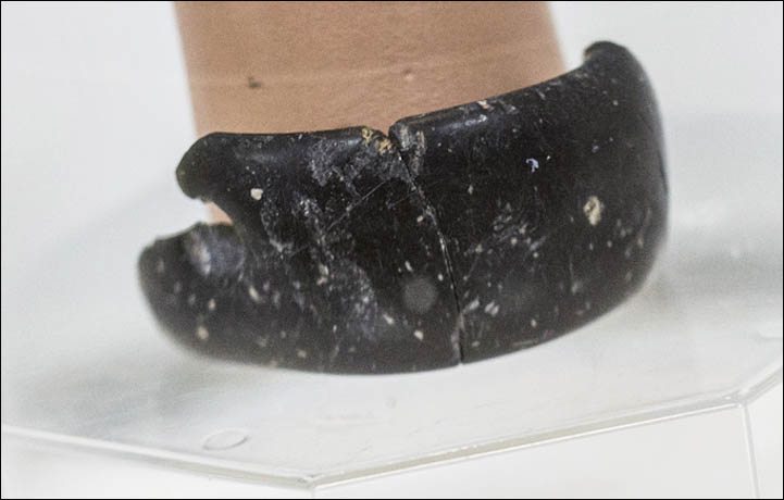 西伯利亚的幻觉｜群体迷思如何塑造我们的现实