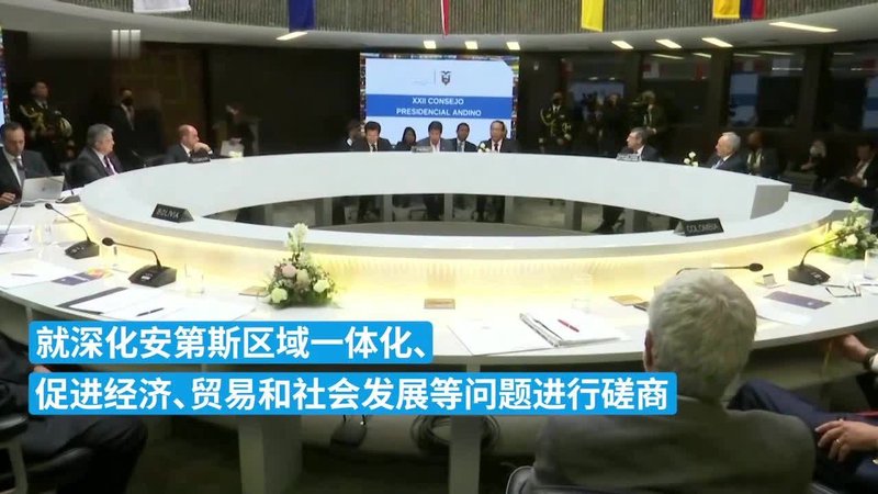 安第斯与巴西·一场地理上的误解与文化对话