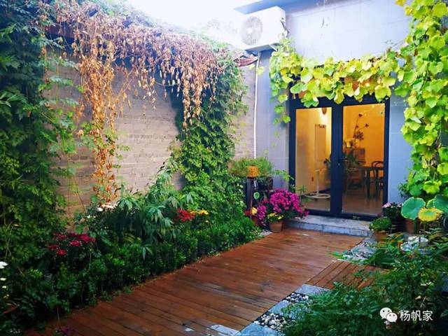 老屋的春天—巧扮美丽庭院我的小故事 老屋的春天—巧扮美丽庭院我的小故事