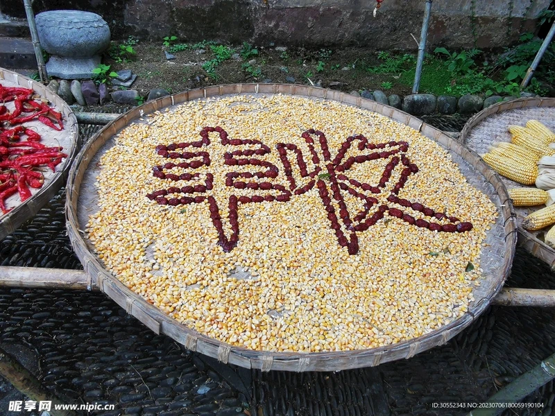 当数据变成金子,我们却两手空空—一场关于“幽灵丰收”的碎碎念 当数据变成金子,我们却两手空空—一场关于“幽灵丰收”的碎碎念