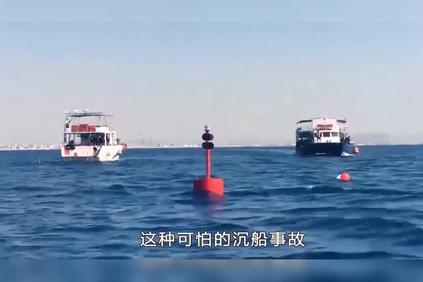 那晚在磁异常带，我看见了带刻度的骨针海怪！