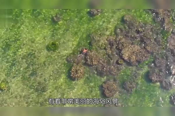 高加索隐身水元素｜探寻神秘的高山精灵