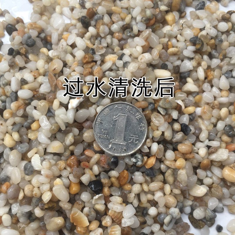 湖泊地底的沙元素丨一场静默的革命