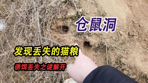 津巴布韦虫洞丨穿越时空的神秘通道? 津巴布韦虫洞丨穿越时空的神秘通道?