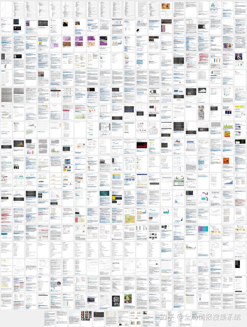 当群体陷入幻觉·那些我们丢失的档案