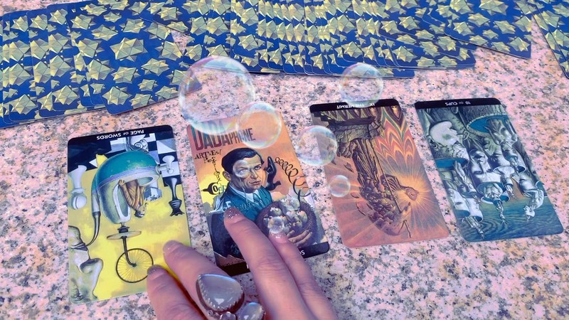 雨林双头犬的神秘占卜｜古老智慧的现代解读