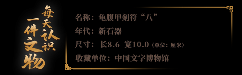 航道深处的谜团·符号再现航道盲区骨骸残迹的探寻之旅