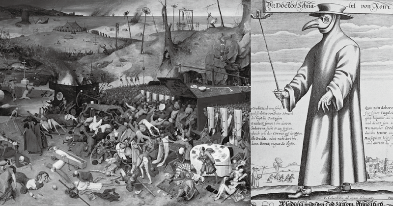 当夜幕降临，黑龙瘟疫的阴影笼罩大地？