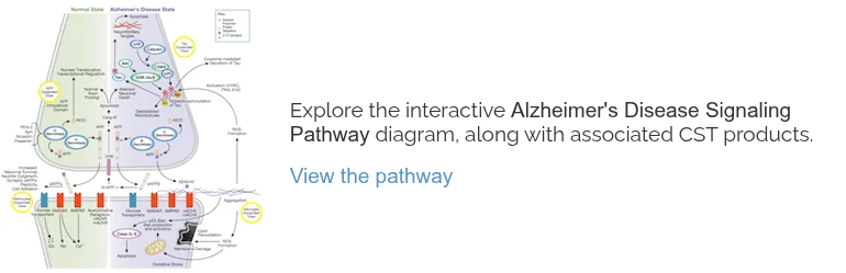 死海里长出的骨针，真的在“重力异常”？