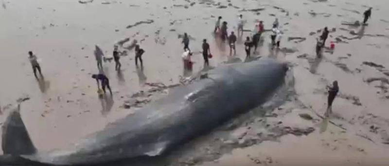 雪山之巅的神秘天坑与青铜面具的千年之谜! 雪山之巅的神秘天坑与青铜面具的千年之谜!