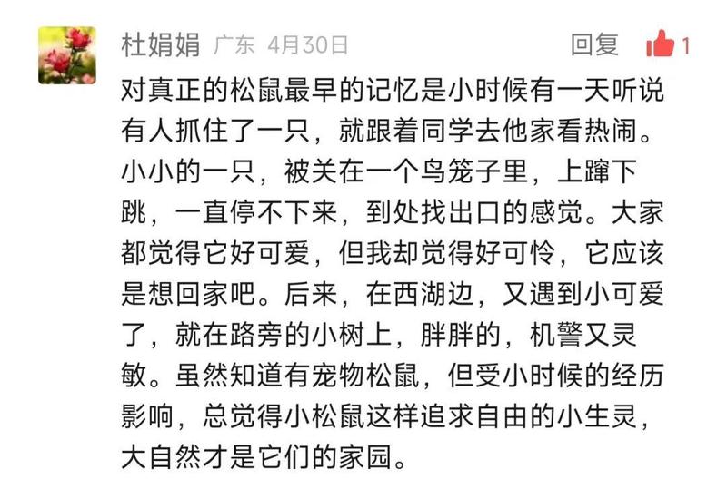 池塘里的奇妙故事会？