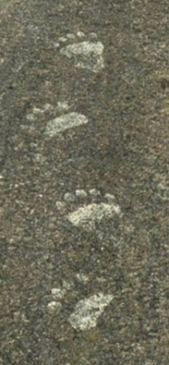 脚印阵透明立方｜科技与艺术的完美融合