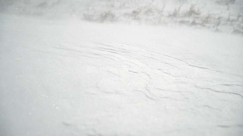 北极狮鹫风暴—一场震撼的自然奇观