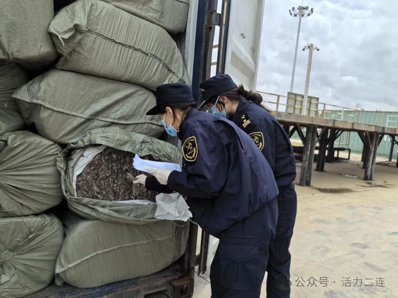 蒙淘克计划|巴尔干地区的一场权力博弈 蒙淘克计划|巴尔干地区的一场权力博弈