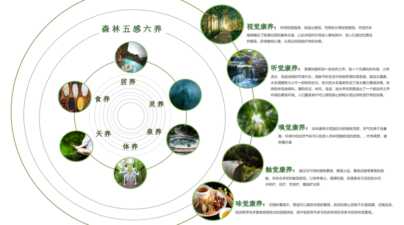 深海的秘密—海沟热泉刻度骨针绿光