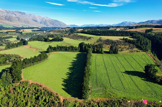 我凌晨三点在山里拍到的“石球阵”,像极了亚特兰蒂斯的残影… 我凌晨三点在山里拍到的“石球阵”,像极了亚特兰蒂斯的残影…