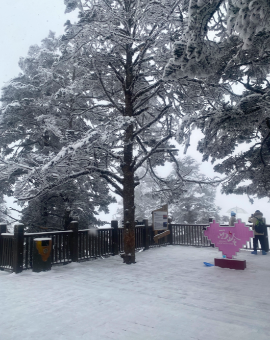 在风暴雪山中,我看见了树人的骨骼… 在风暴雪山中,我看见了树人的骨骼…