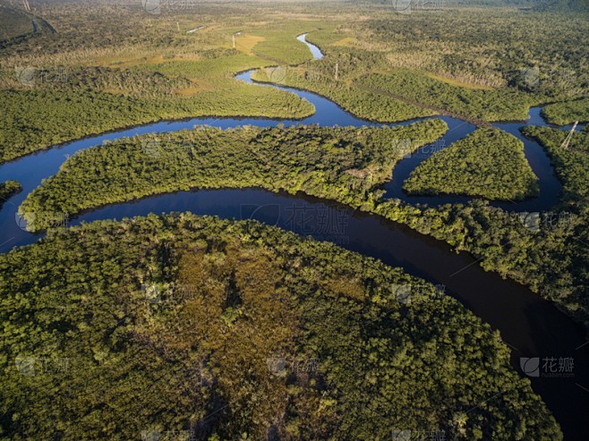 在亚马孙雨林深处,我找到了一串“无信号区”的牙齿! 在亚马孙雨林深处,我找到了一串“无信号区”的牙齿!