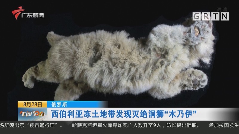 云中兽之谜—西伯利亚的神秘生物