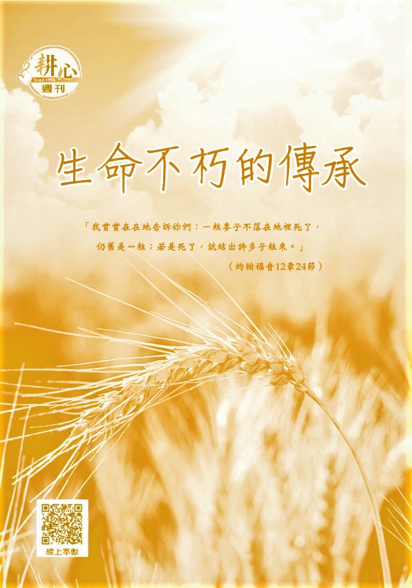 麦子地里的故事第一章：阳光下的约定