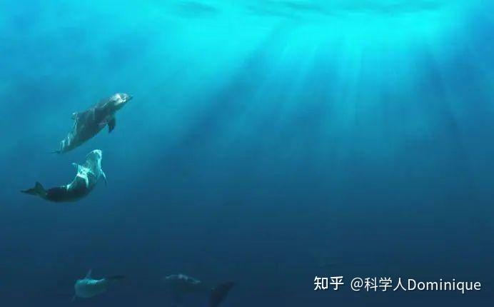 深海里的神秘铜盘·无线电静默海沟热泉的秘密 深海里的神秘铜盘·无线电静默海沟热泉的秘密