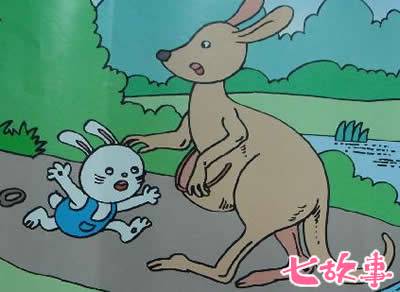 袋鼠布鲁诺与那本遗失的“阅读答案”！