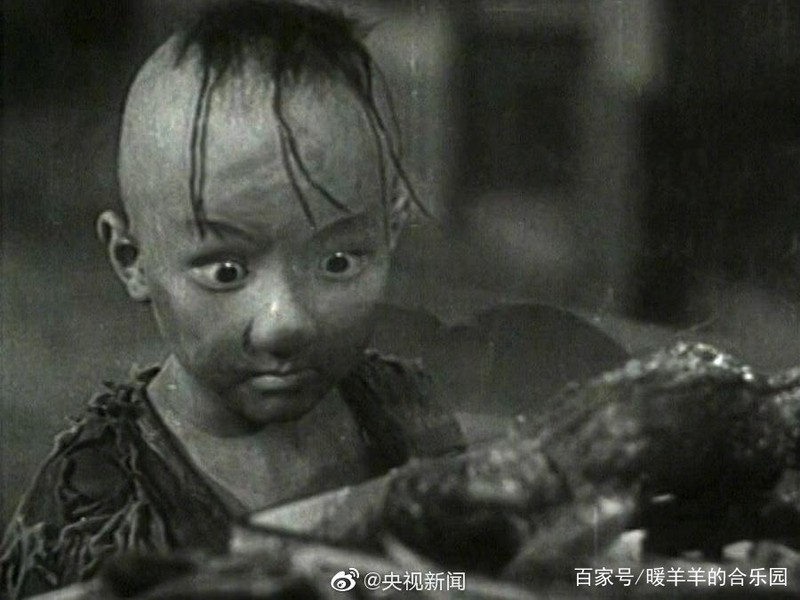 风里的三毛|一个流浪者在沙漠里种下春天 风里的三毛|一个流浪者在沙漠里种下春天
