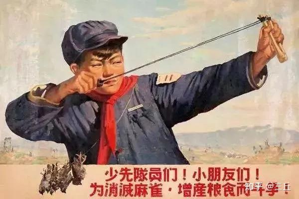 林间的隐秘与觉醒|一条蛇的复仇与救赎 林间的隐秘与觉醒|一条蛇的复仇与救赎