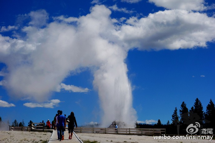 黄石公园·一个关于透明度与公众参与的黑色幽默