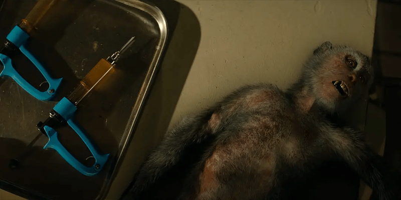 尸巫瘟疫—一场末日之下的生存之战