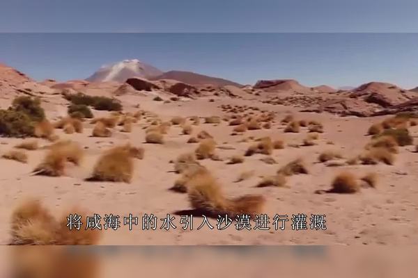 太平洋深处的神秘沙妖·探寻未知的传说
