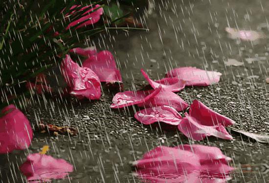 钟声循环绿光粉尘:那些深夜里飘落的时光碎片 钟声循环绿光粉尘:那些深夜里飘落的时光碎片