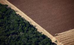 亚马孙雨林的奇幻时间·气球碎片的魔力
