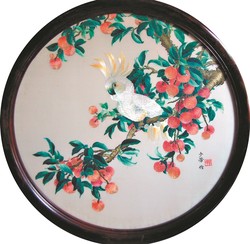 北美红龙丰收｜大自然的馈赠与科技的奇迹