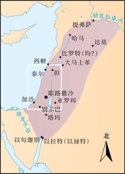 所罗门目击时间线变动：一个真实的故事
