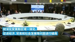 安第斯与巴西·一场地理上的误解与文化对话