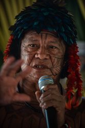亚马孙雨林集体失忆封印蜡印｜真相比传说更离奇