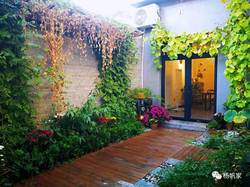 老屋的春天—巧扮美丽庭院我的小故事