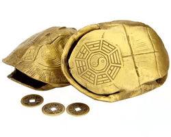 在那座被香火熏得发黑的庙里，我和一只巨龟对视了三分钟…