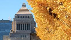 伊朗问题为何如此复杂？国会听证背后的深层博弈…