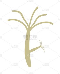 喀尔巴阡空间九头蛇｜一场让人头皮发麻的生存游戏