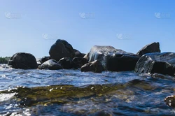 太平洋水元素荒芜｜生态危机与可持续发展之路