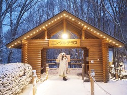 在极地的雪夜里，我遇见了森林精灵…