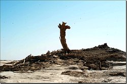 罗布泊骨笛低语墙丨那片沙漠里的神秘回响