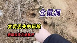 津巴布韦虫洞丨穿越时空的神秘通道？