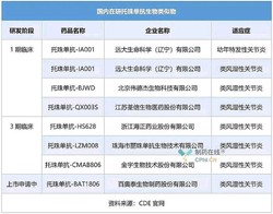 那些神秘的汤加接触｜一场跨越时空的探索