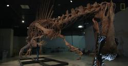 沙漠中的文明密码—实物证据暗示人类起源